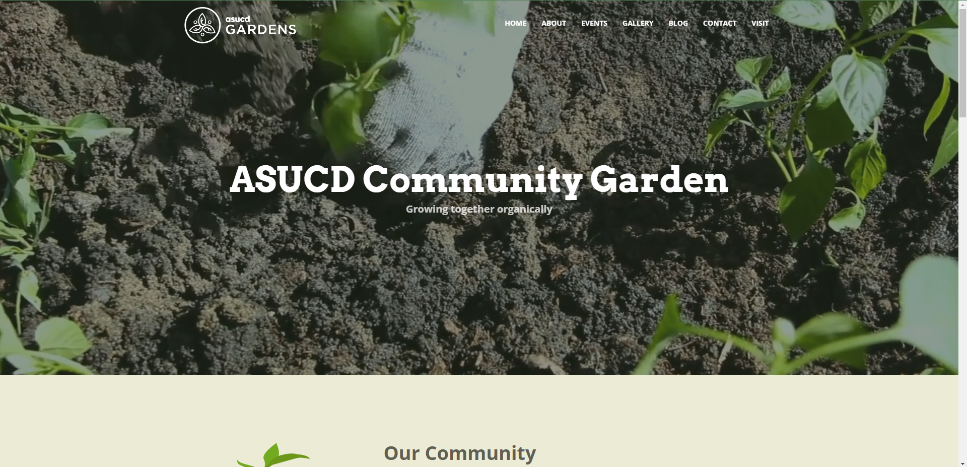 ASUCD website screenshot